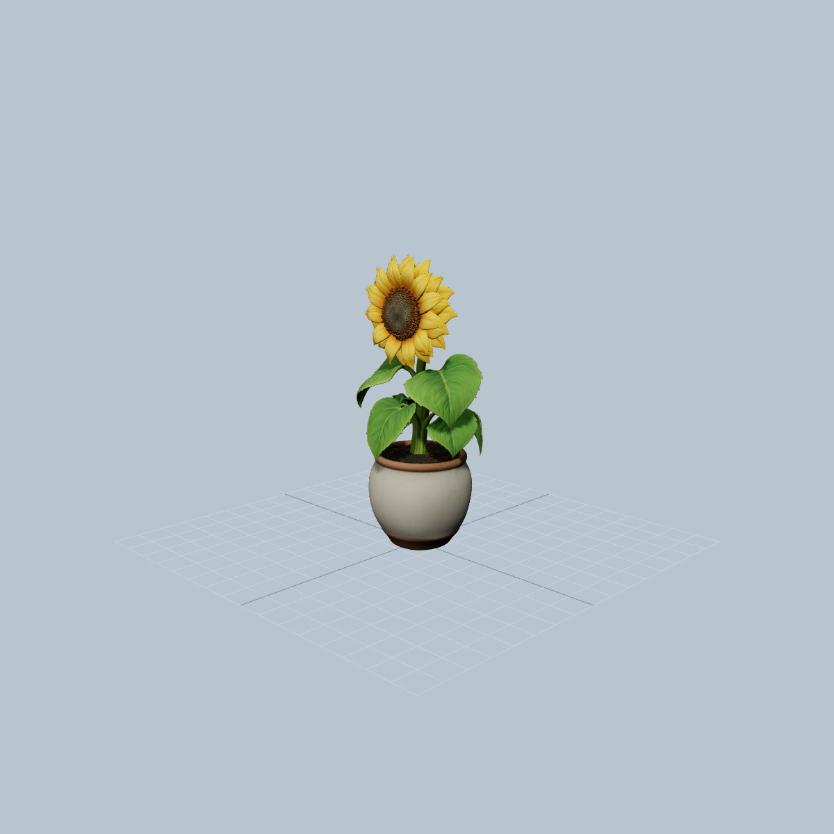 Cute sunflower