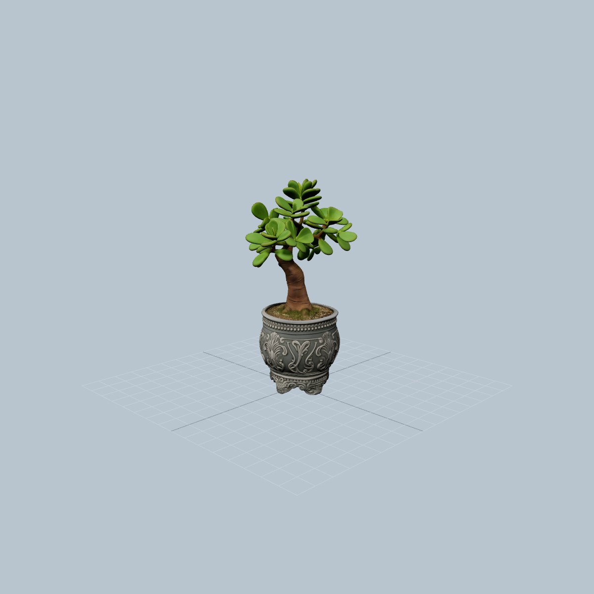 Money tree
